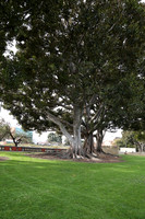 08_ERG_012225