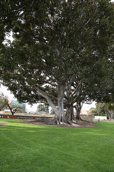 08_ERG_012225