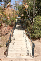 20_VHP_012825