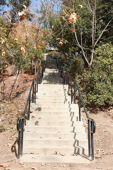20_VHP_012825