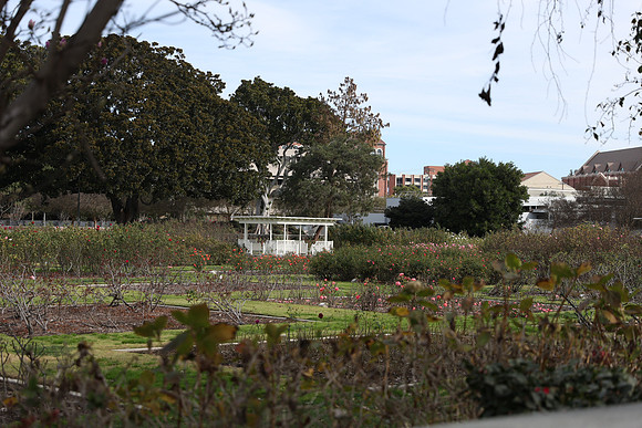 31_ERG_012225