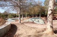 13_VHP_012825