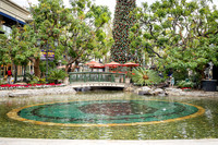 007_Grove2022_120122