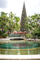 008_Grove2022_120122