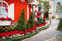 016_Grove2022_120122