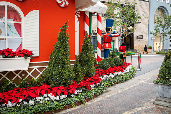 016_Grove2022_120122