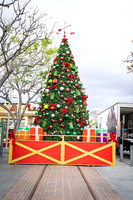 018_Grove2022_120122