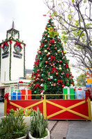 019_Grove2022_120122