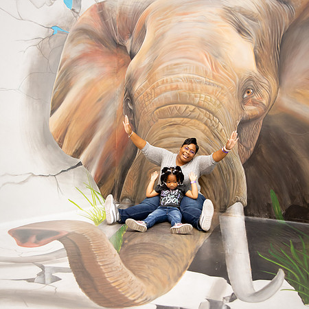 012_MuseumofIllusions_111119