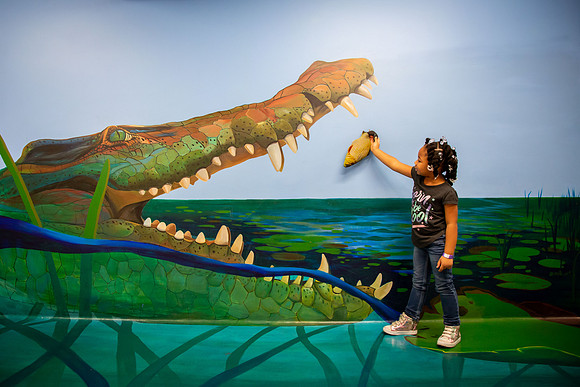 045_MuseumofIllusions_111119