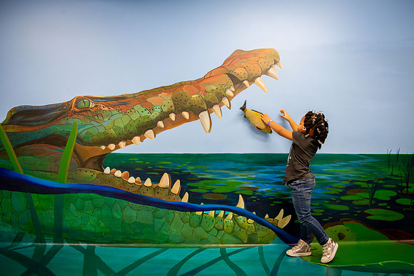 046_MuseumofIllusions_111119