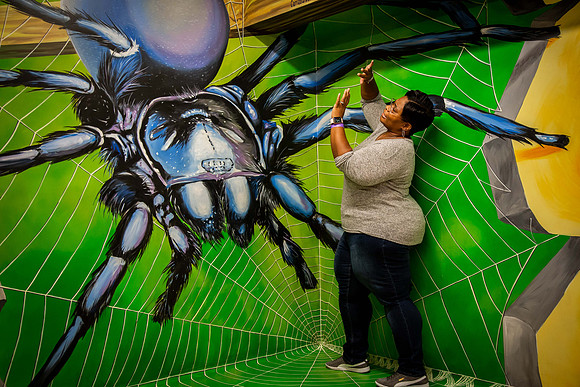 052_MuseumofIllusions_111119