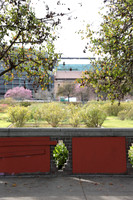 12_ERG_012225