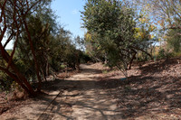 03_VHP_012825