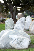 06_ERG_012225
