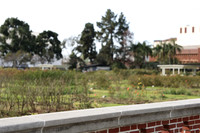 18_ERG_012225