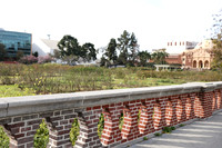 19_ERG_012225