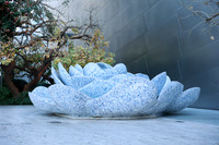17_DCH_012725