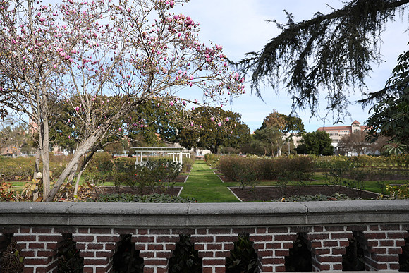29_ERG_012225