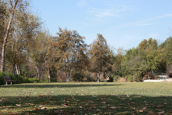 05_VHP_012825