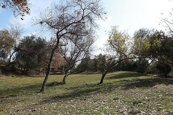 01_VHP_012825