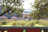 11_ERG_012225