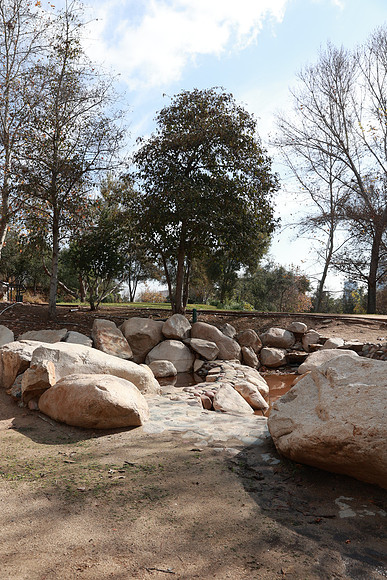 24_VHP_012825
