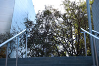 06_DCH_012725