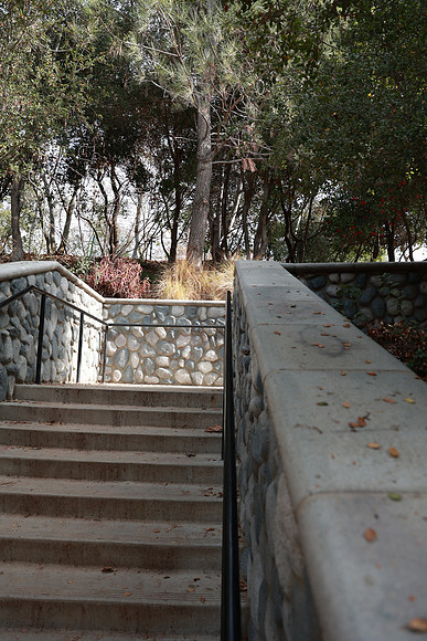 31_VHP_012825