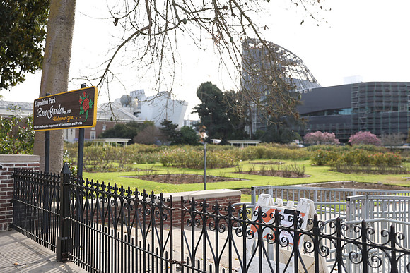 20_ERG_012225