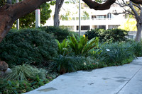 14_DCH_012725