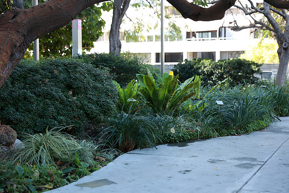 14_DCH_012725