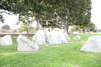 01_ERG_012225