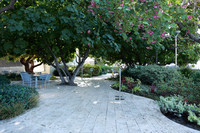 16_DCH_012725