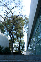 19_DCH_012725