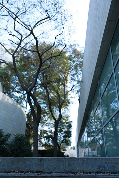 19_DCH_012725