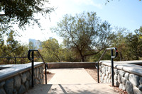 12_VHP_012825