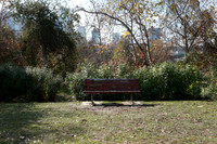 06_VHP_012825