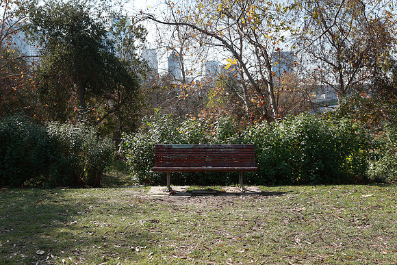 06_VHP_012825