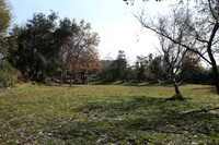 02_VHP_012825