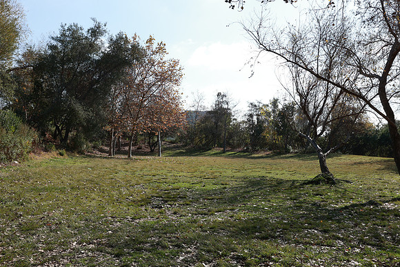02_VHP_012825