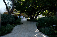 11_DCH_012725