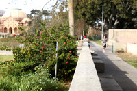 15_ERG_012225