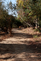 04_VHP_012825
